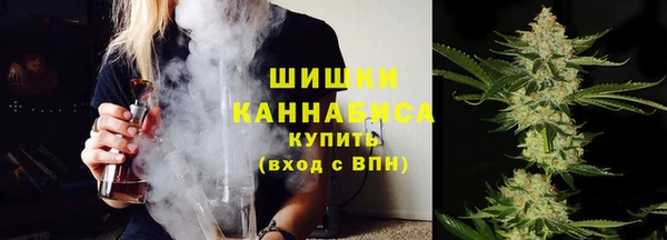ешки Алзамай